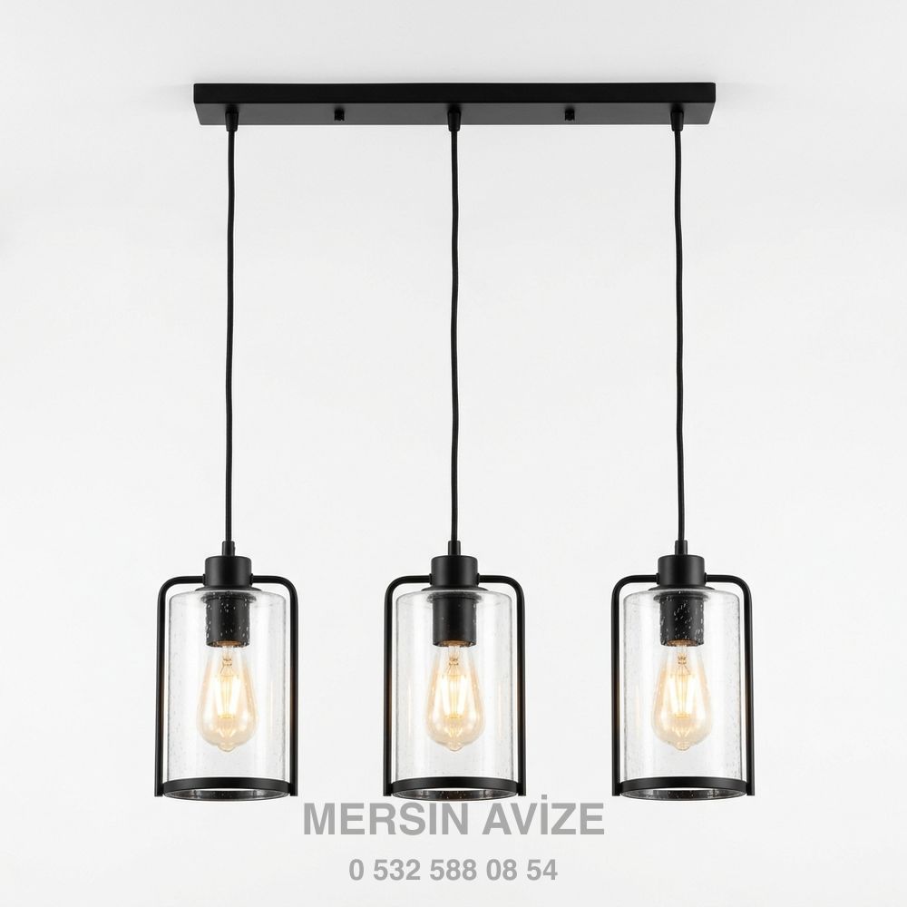 Monofaze 3 Faz Uyumlu 30W Siyah COB LED Ray Spot